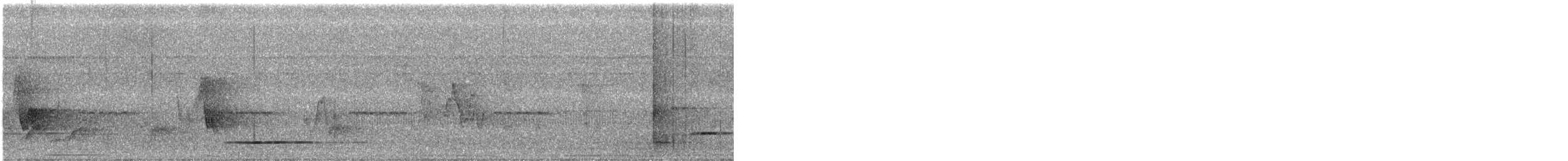 Thicket Tinamou - ML590129431