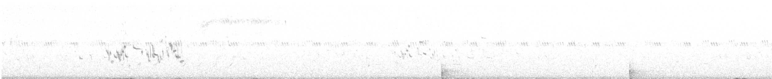 skjoldspurv - ML590135921