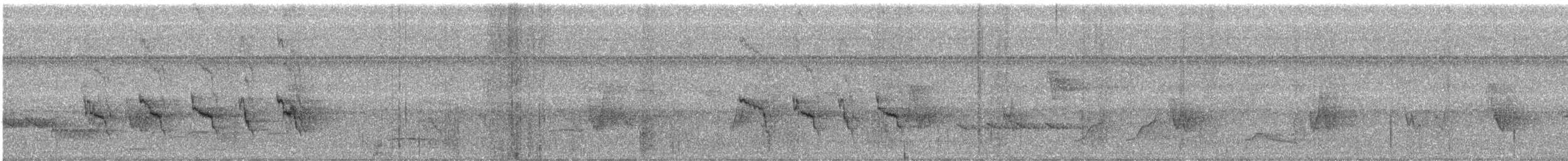 Social Flycatcher - ML590146901