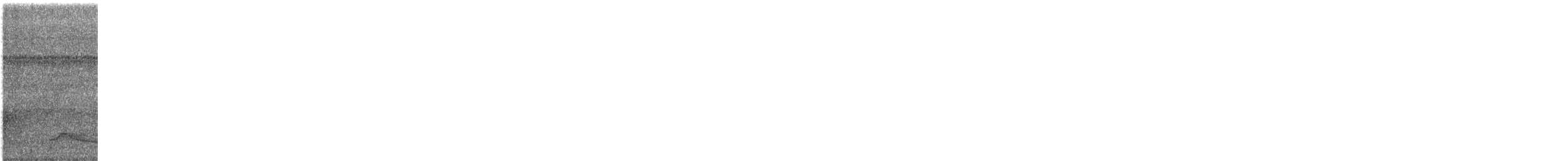 Common Pauraque - ML590147111