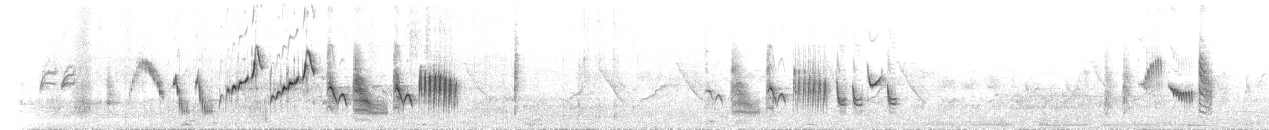 Large-billed Reed Warbler - ML590150781