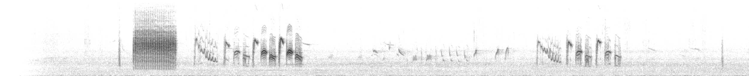 Large-billed Reed Warbler - ML590150831