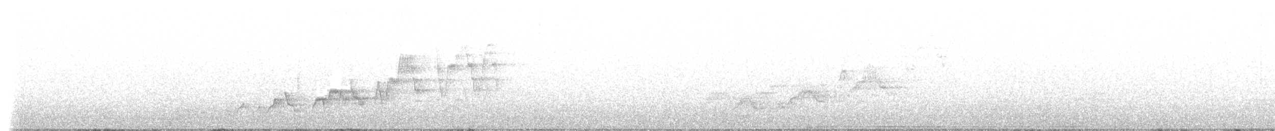 Дрізд-короткодзьоб Cвенсона - ML590160511