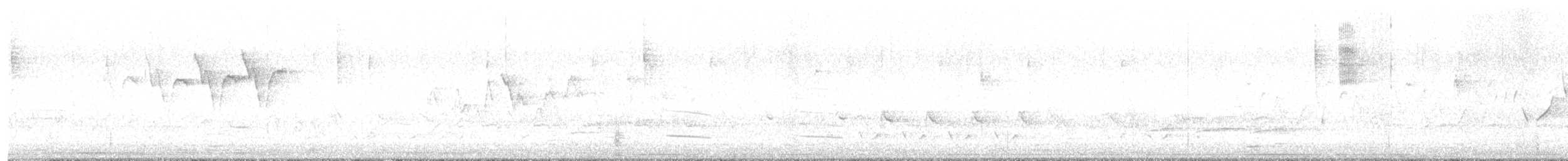 カオグロアメリカムシクイ - ML590170751