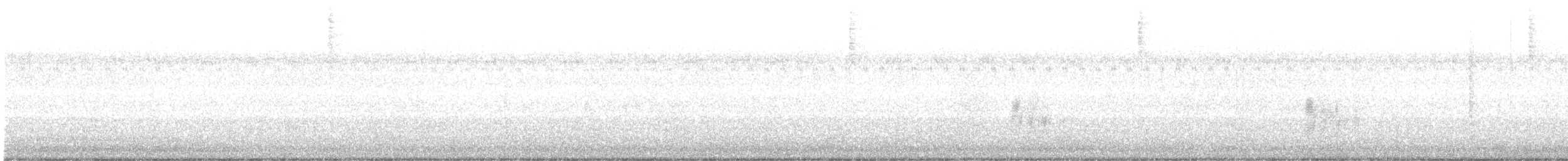 Antillennachtschwalbe - ML590171221