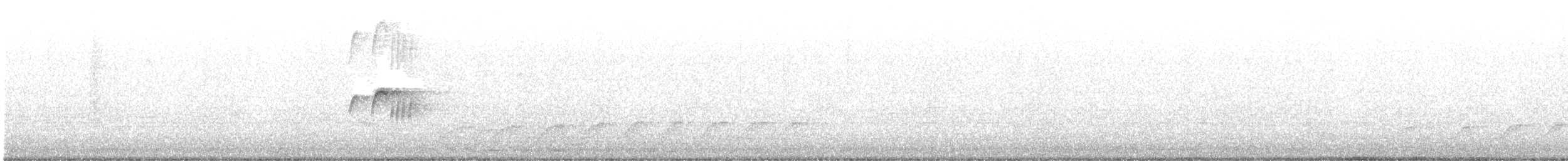 Серый тиранн - ML590172321