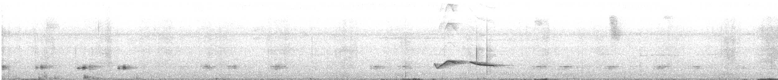 Зернолуск білогорлий - ML590177731