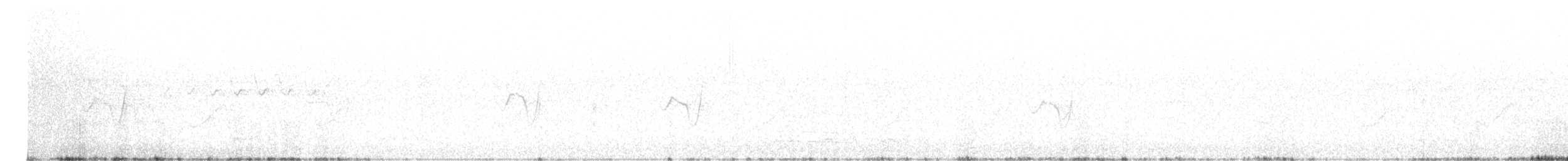 Светлобрюхий фиби - ML590177771