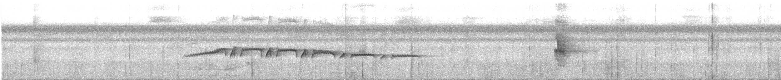 Мурав’янка-куцохвіст плямиста - ML590178061
