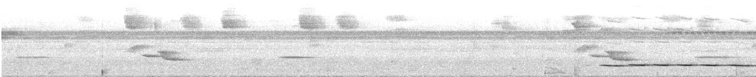 Gözlüklü Yerçavuşu - ML590180241