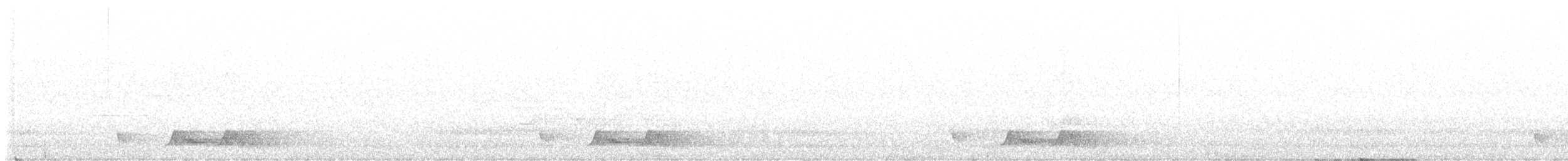 Carolinanachtschwalbe - ML590180881