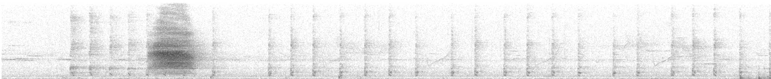 Chara de Steller (grupo coronata) - ML590185861