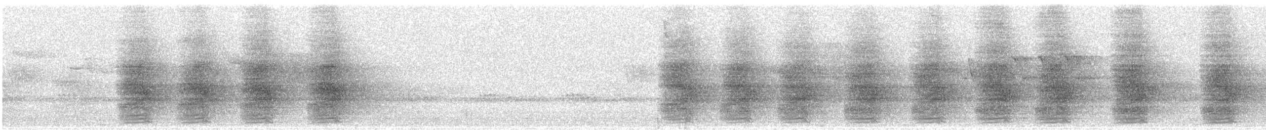 Chara de Steller (grupo coronata) - ML590186081