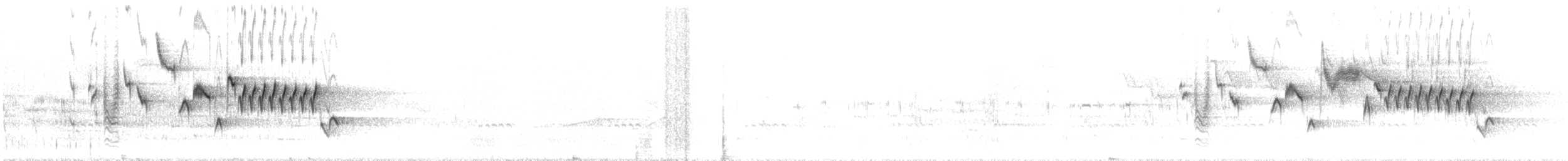 Northern House Wren (Brown-throated) - ML590186141