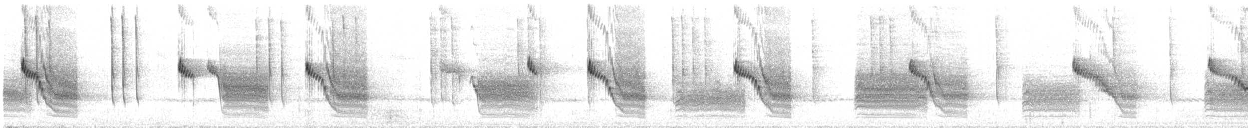 House Wren (Brown-throated) - ML590186161
