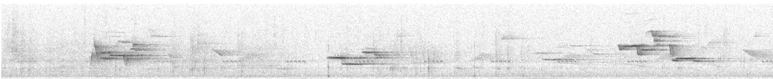 Zorzalito de Frantzius - ML590187161