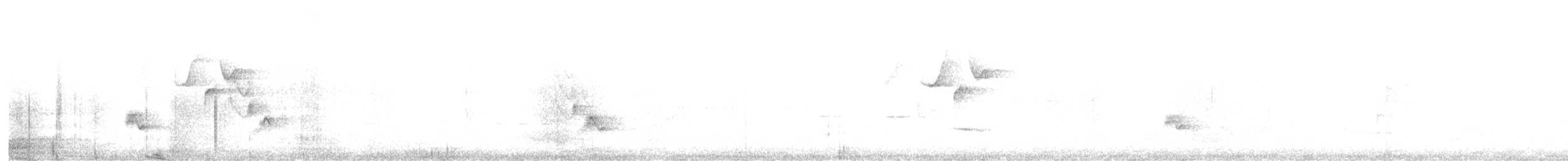 Буланый крапивник - ML590202011