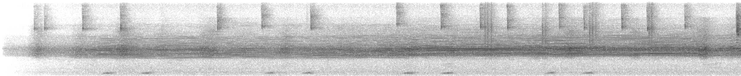Синегрудый фиалкоух - ML590208231