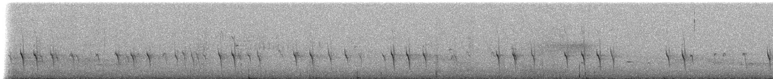 Bec-croisé des sapins (type 2) - ML590217521