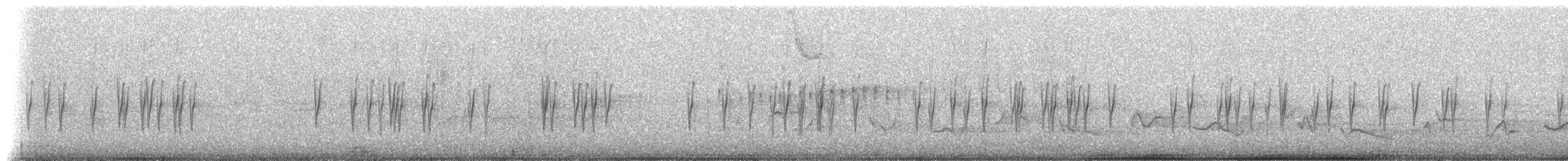 Fichtenkreuzschnabel (Typ 4) - ML590217641