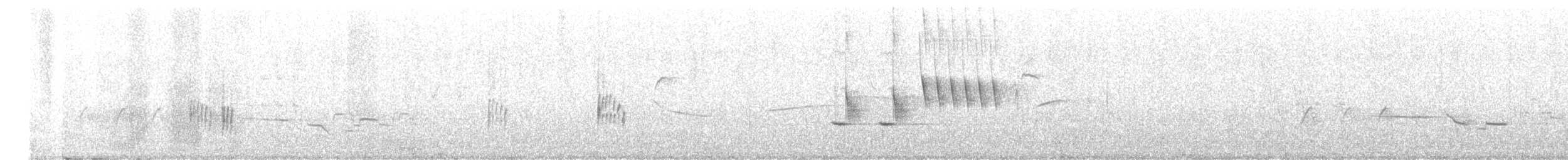 Northern House Wren (Northern) - ML590229561