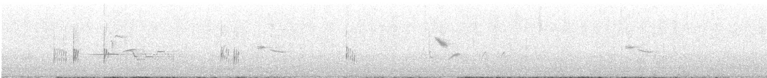 Northern House Wren (Northern) - ML590229581