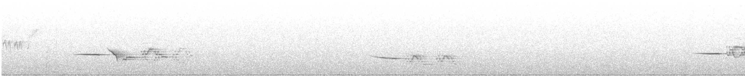 Дрізд-короткодзьоб плямистоволий - ML590229621