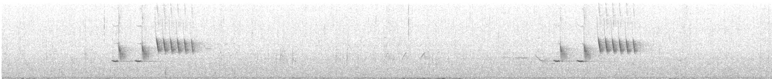 Тауї плямистий - ML590229691