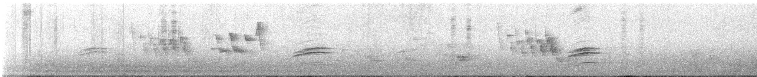 Дрізд-короткодзьоб плямистоволий - ML590260061