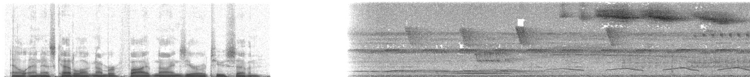 Яструб-довгоніг (підвид caerulescens) - ML59027