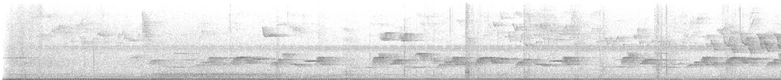 Серогрудый крапивник - ML590276071