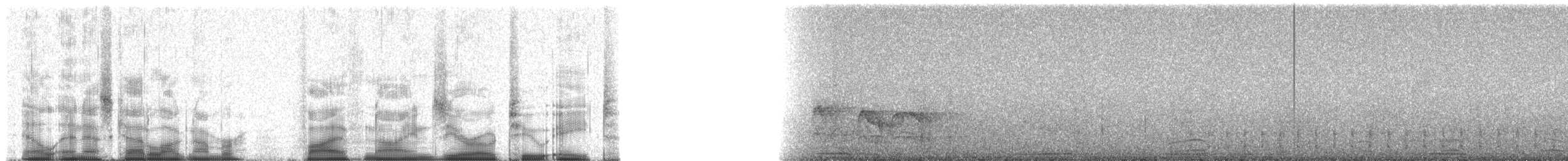 Журавлиный коршун (caerulescens) - ML59028
