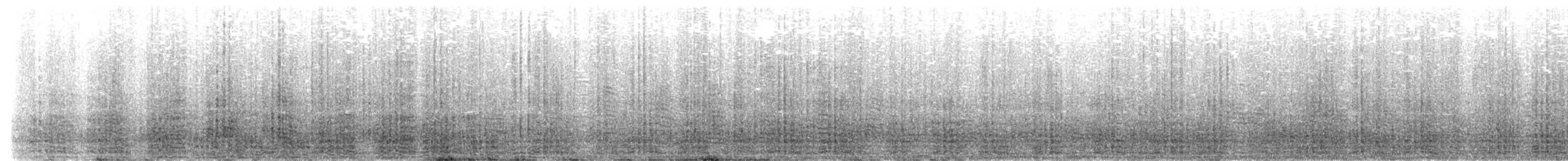 Сула атлантична - ML590281381