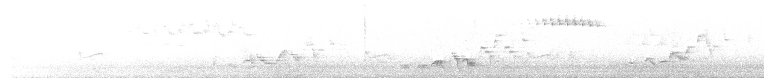 Піві-малюк жовточеревий - ML590281481