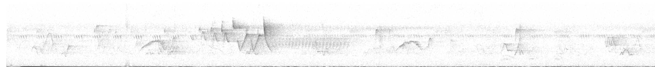 Weißbauch-Phoebetyrann - ML590282381