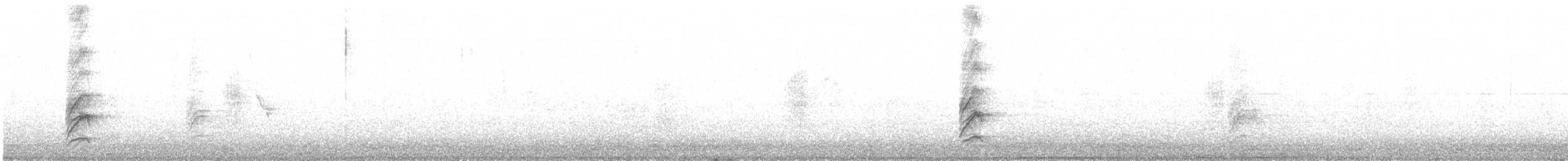 Merle austral (magellanicus/pembertoni) - ML590286091