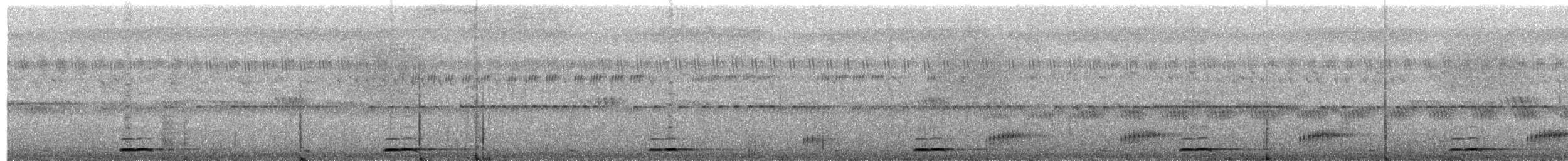 蘭嶼角鴞 - ML590289931