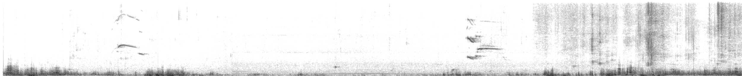 Goéland bourgmestre - ML590292181