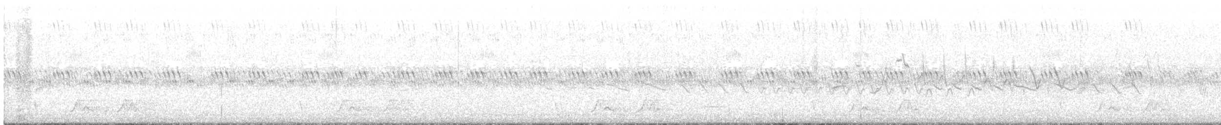 Carolinanachtschwalbe - ML590297711