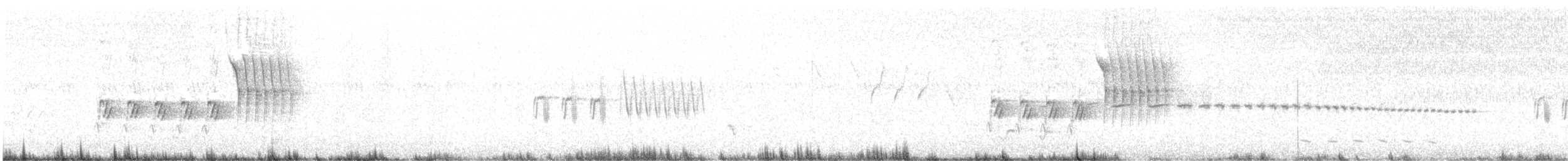 Тауї плямистий - ML590307981