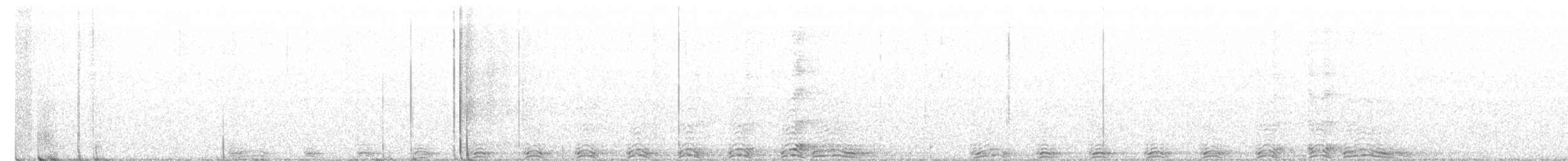 Barred Owl - ML590319831