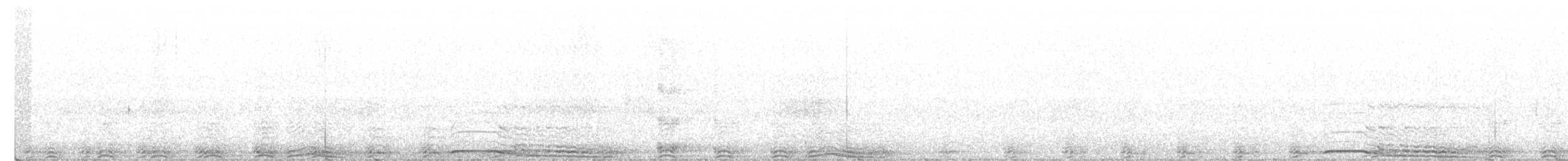 Barred Owl - ML590319841