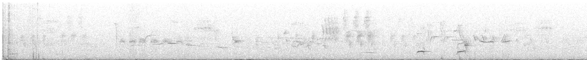 Northern Bobwhite - ML590329321