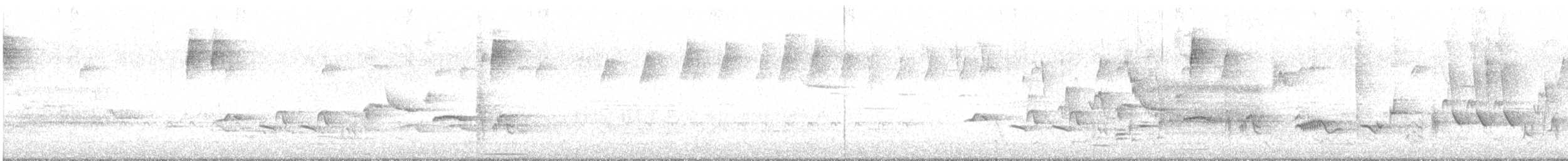 Oriole des vergers - ML590330151