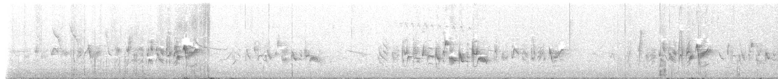 Віреон короткокрилий (підвид pusillus) - ML590343591