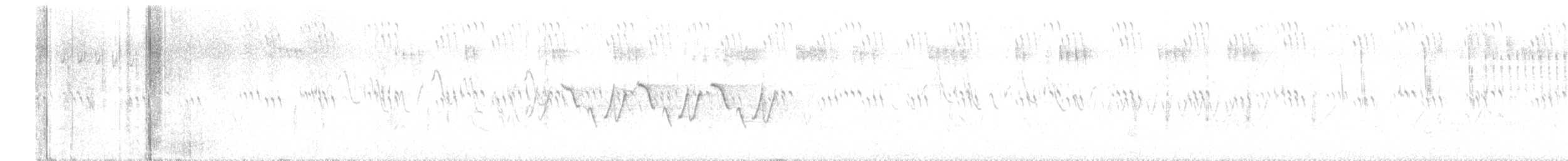 Troglodyte à bec court - ML590357781