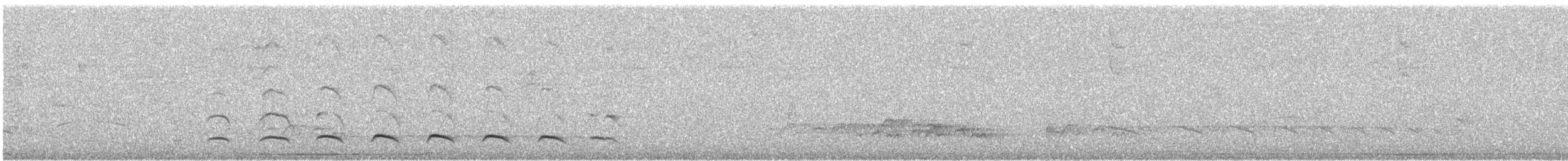 Weißbart-Ameisenwürger - ML590360431