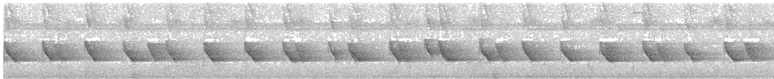Белогорлая сорокопутовая танагра - ML59038401