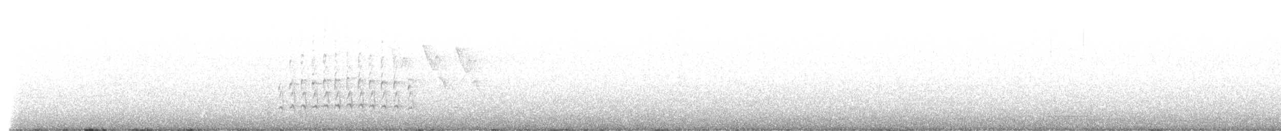 American Robin - ML590384861