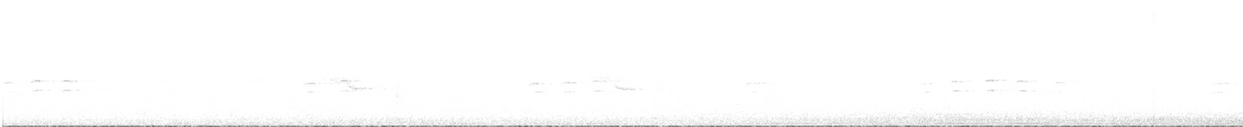 White-winged Crossbill - ML590401051